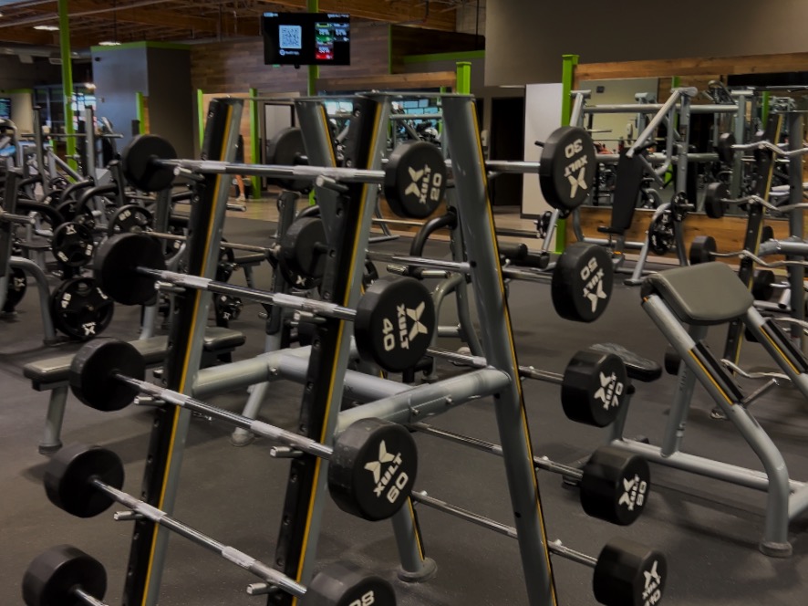 State-of-the-art EZ bar curl equipment at Bodifi Gym in Idaho Falls. Featuring advanced weight machines, free weights, and resistance training tools, perfect for building muscle and improving fitness