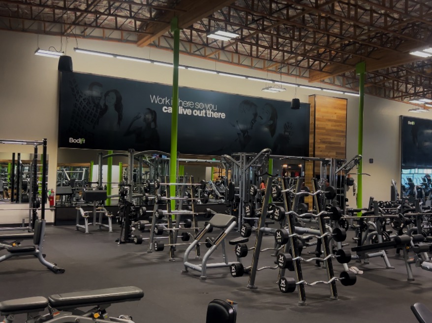 State-of-the-art ez bar and dumbbell equipment at Bodifi Gym in Idaho Falls. Featuring advanced weight machines, free weights, and resistance training tools, perfect for building muscle and improving fitness
